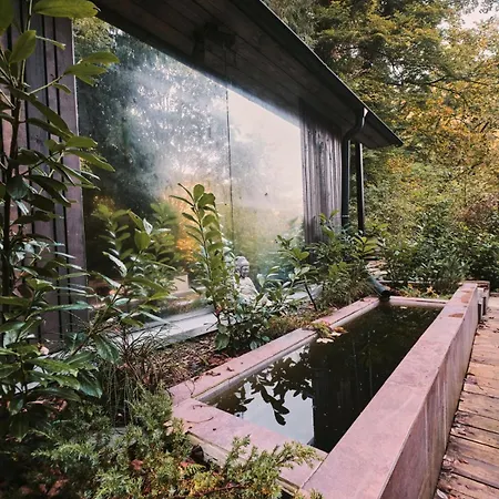Ola I Oaza Les Atmosfera I Oasis Forest Atmosphere Petrov