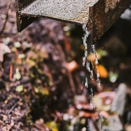 Prázdninový dům Ola I Oaza Les Atmosfera I Oasis Forest Atmosphere *