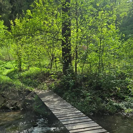 Prázdninový dům Ola I Oaza Les Atmosfera I Oasis Forest Atmosphere